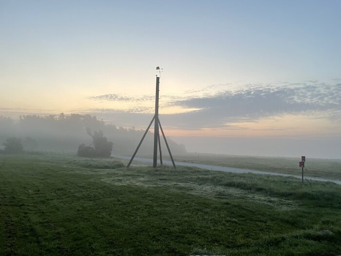 Dimmig morgon, gräsbevuxen mark, mast för belysning, disig himmel, gryningens pastellfärger.