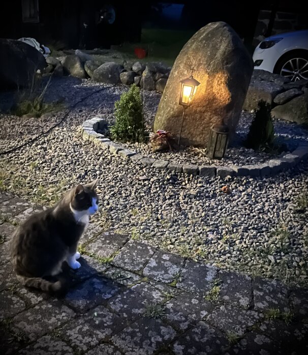 Katt sitter utomhus vid kvällstid, med lykta och stenmonument i bakgrunden.