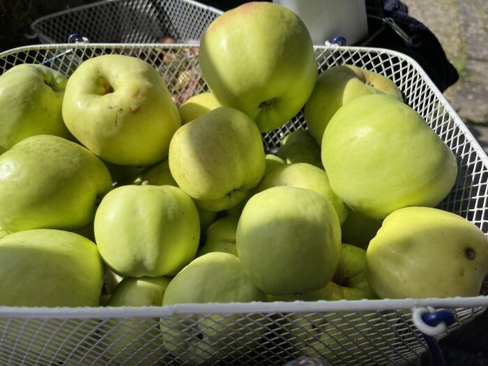 Gröna äpplen i vit korg, färsk frukt, mat, naturligt ljus, närbild, ojämn yta.