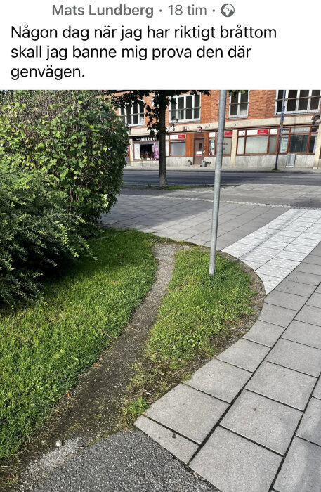 Genväg genom gräs kopplad till humoristisk text. Stadsbakgrund, trottoar och växtlighet syns.