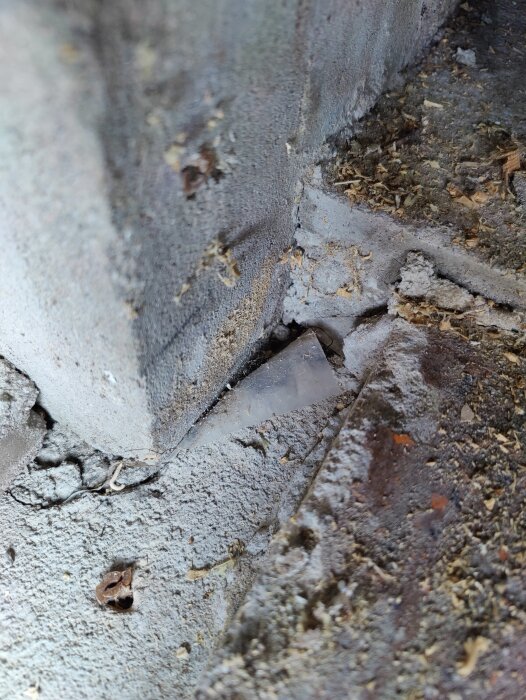 Närbild av hörnet på en grå betongstruktur med smuts, spindelnät och några små blad.
