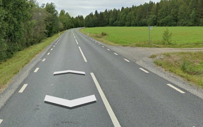 Landsväg med vägmarkeringar, gröna omgivningar, övergångsställe, molnig himmel.