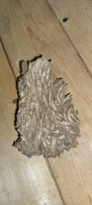 En brun, oorganisk struktur på trä, liknar en närbild av ett insektsbo eller svampväxt. Texturen är grov och fiberrik.