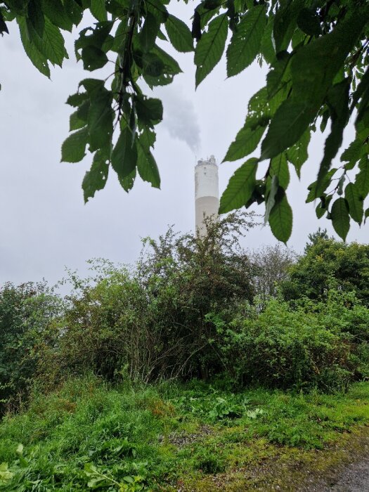 Lummig grönska i förgrunden, industriellt skorsten med rök, grå himmel, dold natur och teknik i samspel.