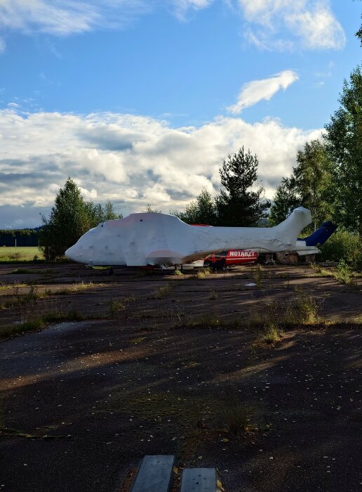 Övertäckt flygplan på övergiven plats, omgivet av träd och molnig himmel.