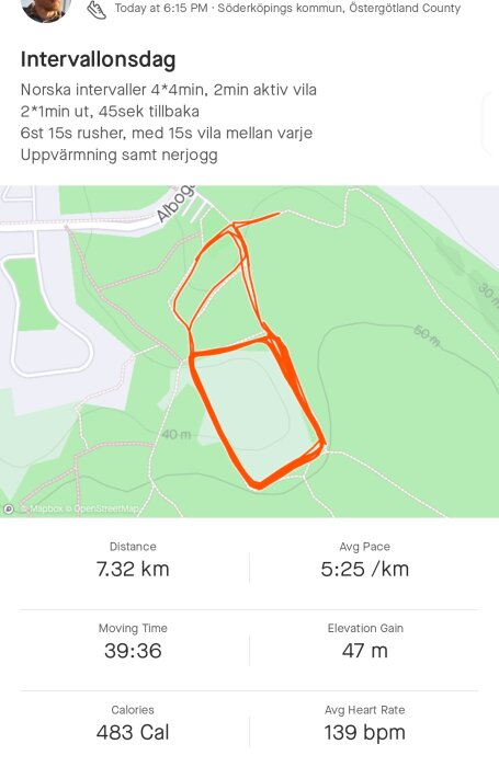 Löpappskärmdump; intervallträning; 7.32 km; tid 39:36; förbränning 483 kalorier; puls 139 bpm.