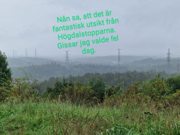 Dimmigt landskap, grönska, kraftledningsstolpar, text med humor om utsiktens besvikelse.