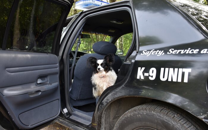 Hund i polisbil märkt "K-9 UNIT", svart fordon, öppen dörr, säkerhet och service text.