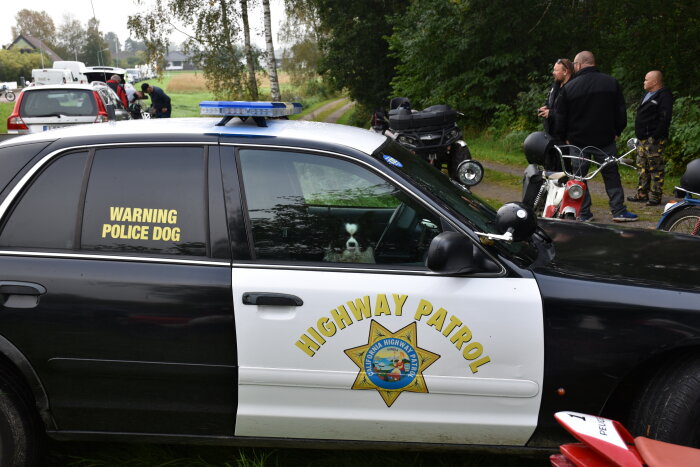 Polisbil med "Warning Police Dog" text, hund tittar ut, människor och fordon i bakgrunden.