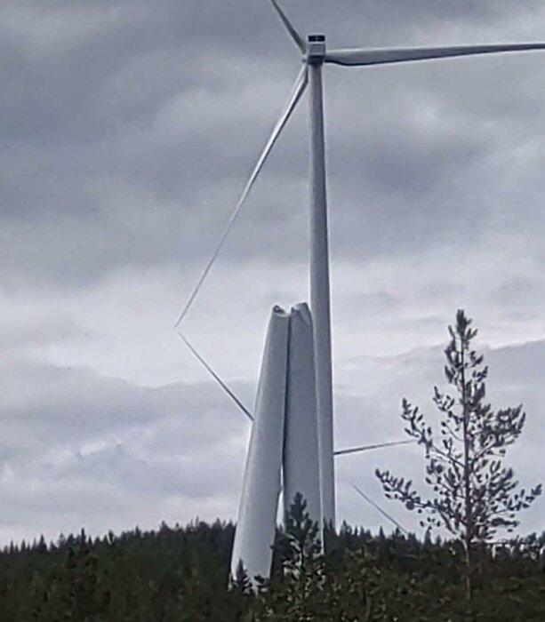 Vindkraftverk med tre blad, molnig himmel, skog i förgrunden.