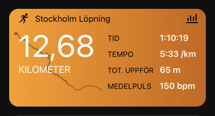 Skärmavbild av löparapp med distans, tid, tempo, höjdmeter och puls från Stockholm.