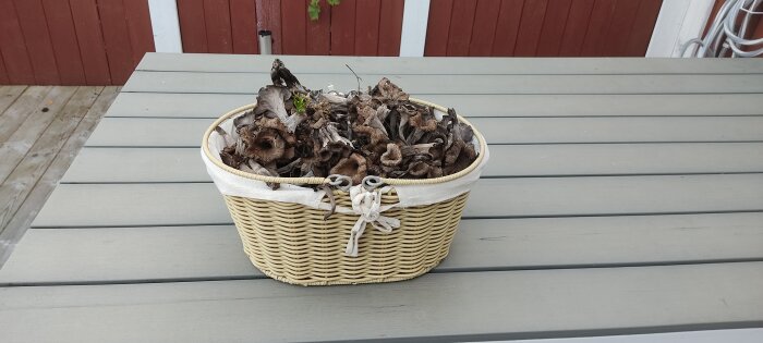 Korg fylld med brunaktiga murklor på ett grått träbord, utomhusmiljö.