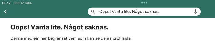 Skärmdump av ett felmeddelande som säger "Oops! Vänta lite. Något saknas" inom en app eller webbsida.