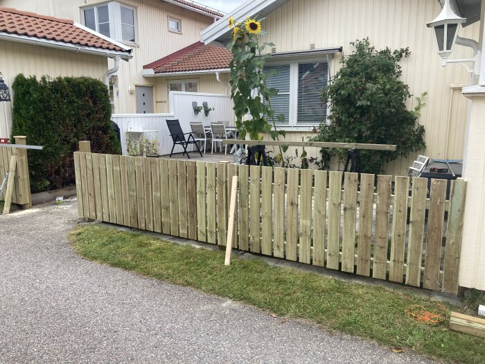 Ett trästaket framför ett hus, solros, gräsmatta, uteplats med bord och stolar, ljust hus.