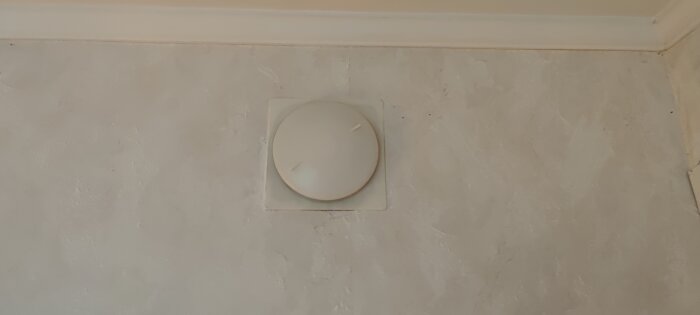 Vit rund platt knapp eller sensor på ojämn beige vägg med list.