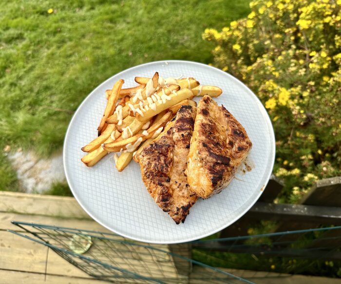 Tallrik med grillad kyckling och pommes frites, majonnäs, utomhus på träbord med gräs i bakgrunden.