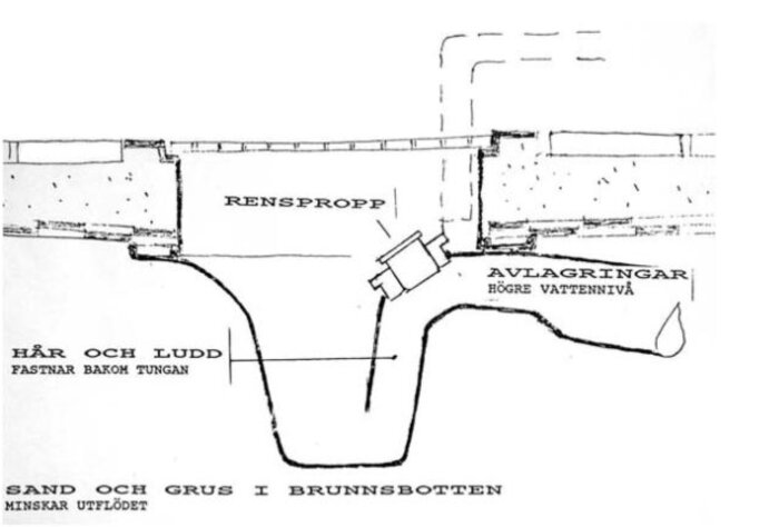 Schematisk teckning av avlopp med benämnda delar: renspropp, avlagringar, hår, ludd, sand, grus.