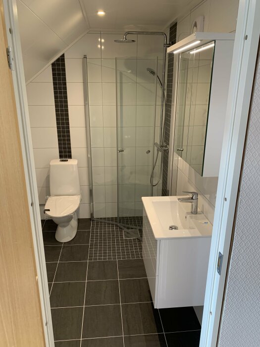 Modernt badrum med duschkabin, toalett, handfat, spegelskåp och mörka klinkergolv. Neutralt färgschema, rent, välbelyst.