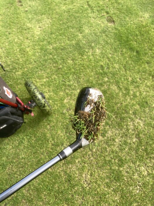 Golfklubba med gräs och jord på huvudet, golfvagn i bakgrunden, på gräsplan.