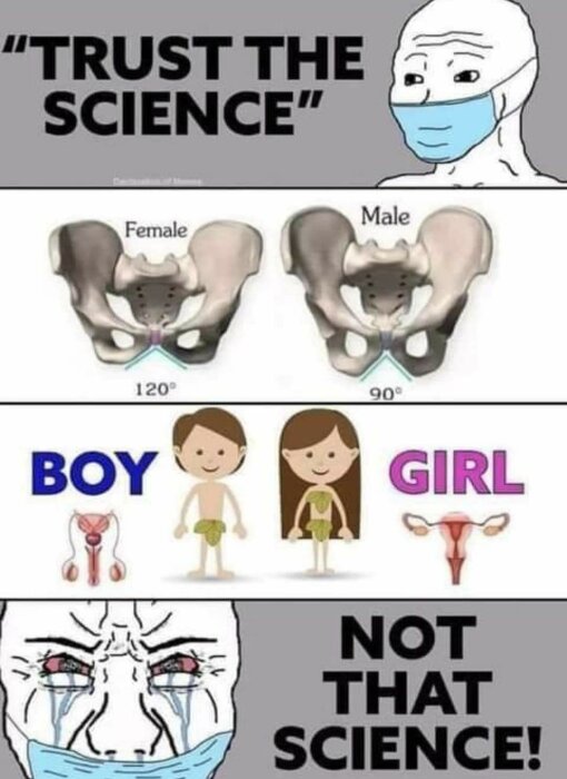 Satirisk bild som debatterar vetenskaplig tro med avseende på maskanvändning och biologisk könsskillnad.