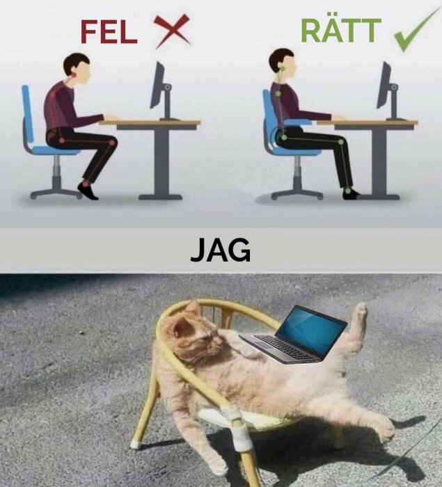 Humaristisk jämförelse av korrekt, felaktig sittställning och en avslappnad katt med laptop.