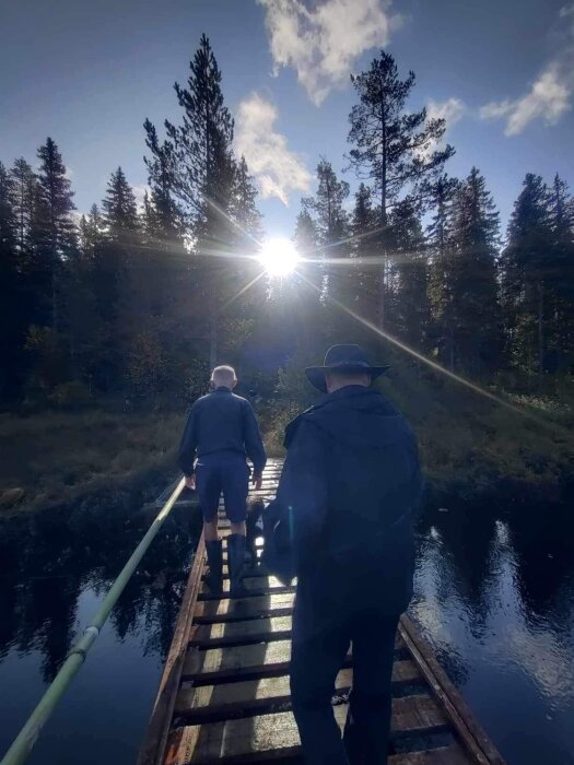 Två personer vandrar på en brygga i skogen mot solen som skiner. Reflective water, natur, äventyr, stillhet.