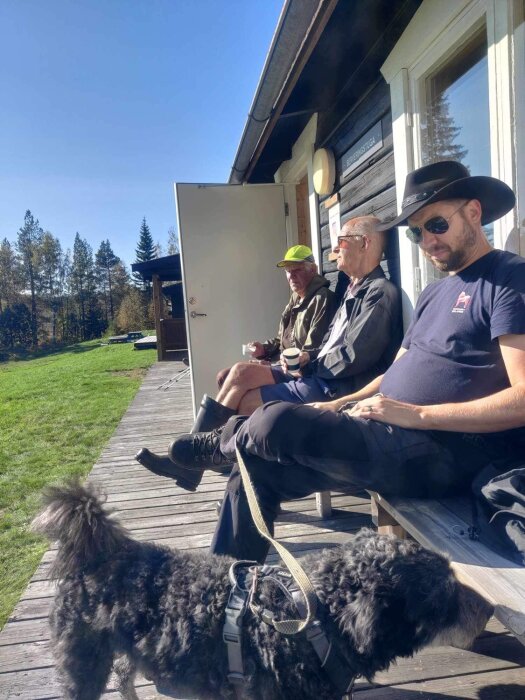 Tre män och en hund avnjuter solskenet på en träveranda.