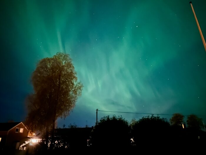 Nordljus (aurora borealis) över natthimmel, bostadshus i förgrund, träd, stjärnor, mörk silhuett.