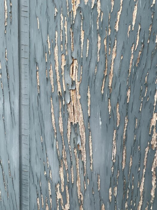 Sliten blå dörr med flagande färg och synligt trä; tecken på åldrande och väderpåverkan.