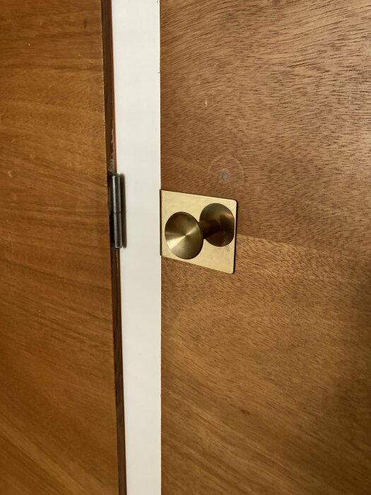 En brun dörr är delvis öppen med synligt dörrhandtag och gångjärn mot en vit vägg.
