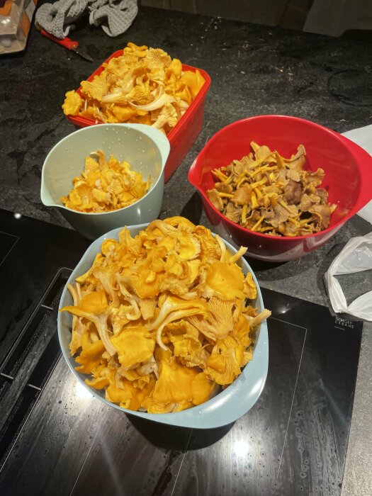 Tre skålar med kantareller på ett köksbänk, olika storlekar och färger, redo för matlagning.