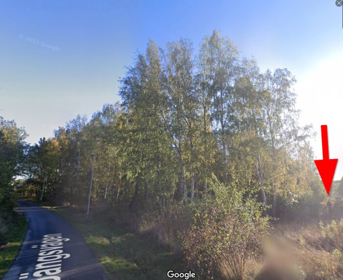 Gatuskylt, röd pil, väg, träd, soligt, dagsljus, Google Street View vattenstämpel, ingen synlig person.