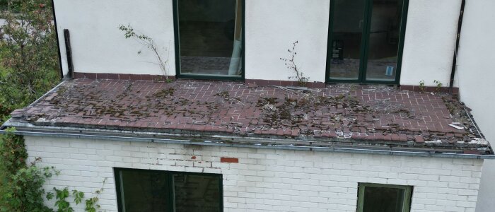 En sliten takkant med skadade tegelpannor och växtlighet. Behöver underhåll eller renovering. Nedanför, stora fönster på vit byggnad.