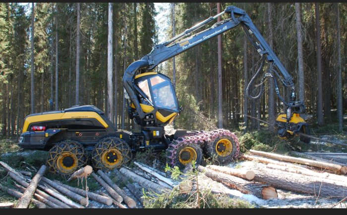 Gul och svart skogsmaskin med kedjor, arbetar med avverkning av träd i skogen.