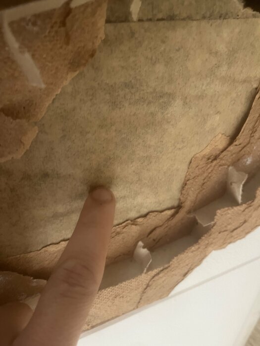 Ett finger pekar på skadad vägg med flagande färg och underliggande lager exponerade.