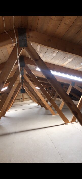 Trätakstolar och isolering i ett öppet loft, med synliga balkar och lutande taklinjer.