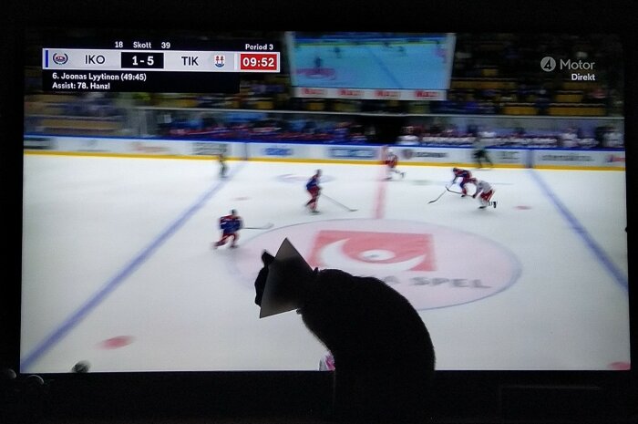 Katt framför TV som visar en ishockeymatch med resultatet 1-5 under tredje perioden.