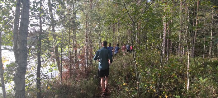 Grupp människor vandrar på stig i skog bredvid sjö. Träd, natur, samvaro, friluftsliv, motion, skogspromenad, dagstid.