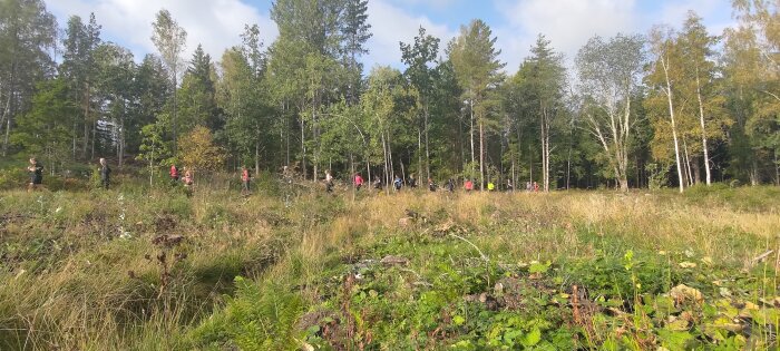 Skogsområde med ljus himmel och grupp människor som verkar springa eller gå.