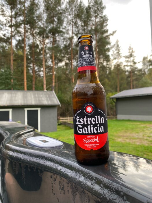 Ölflaska på våt yta, träd och skjul i bakgrunden. Dimmigt väder. Estrella Galicia, spansk öl.