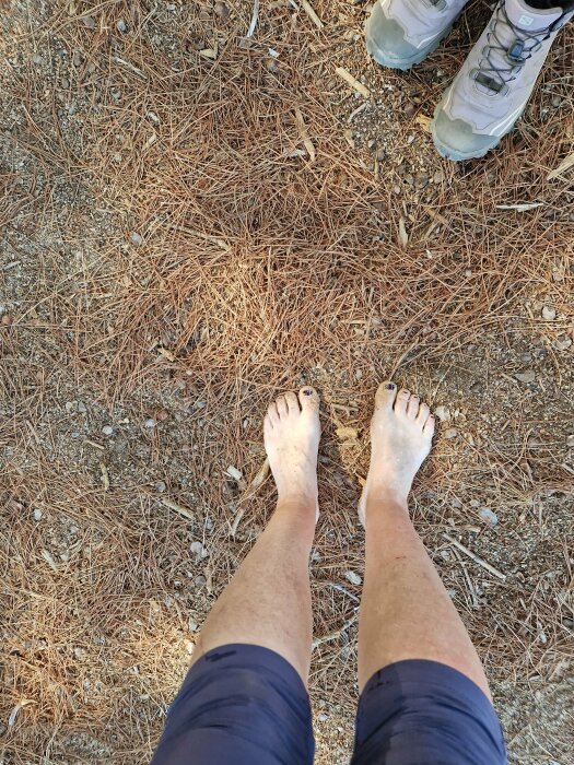 En person står barfota bredvid någon i vandringskängor på ett barrtäckt mark.