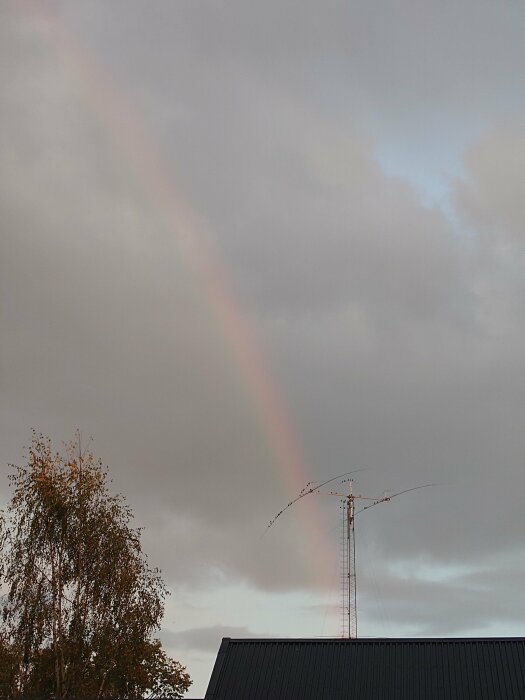 Regnbåge över himlen, antenn och byggnadens tak, fåglar sitter på telefonledning.