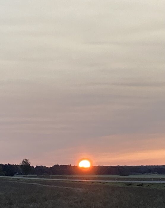 Solnedgång över fält, himmel med mjuka färger, natur, lugnt, skymning.