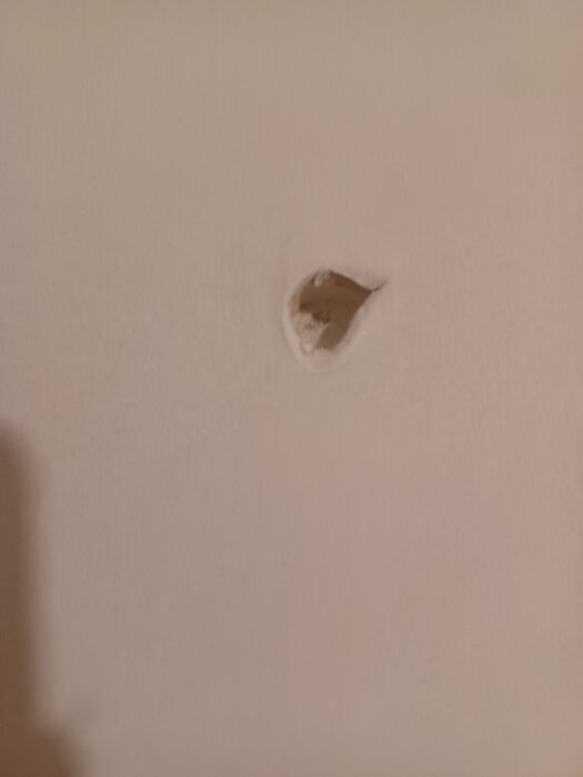 20230930_191613.jpg