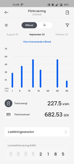 Energianvändningsapp, daglig elanvändning i garage, månadskostnader, stolpdiagram, mobilskärmdump.