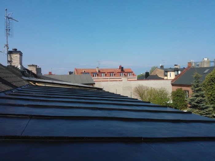 WP_000494.jpg