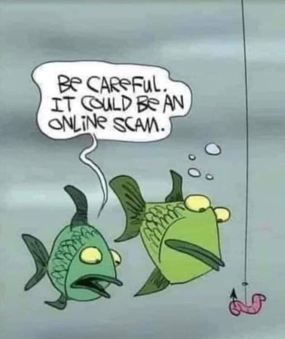 Två tecknade fiskar undviker ett fiskedrag, pratbubbla varnar om "online scam". Humoristisk, vatten, ironi, bedrägerimedvetenhet.