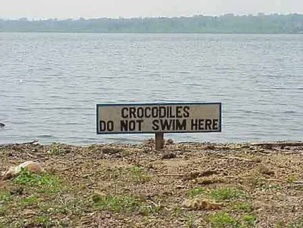 Skylt vid vatten: "CROCODILES DO NOT SWIM HERE". Torrt land framför, vattnet i bakgrunden.