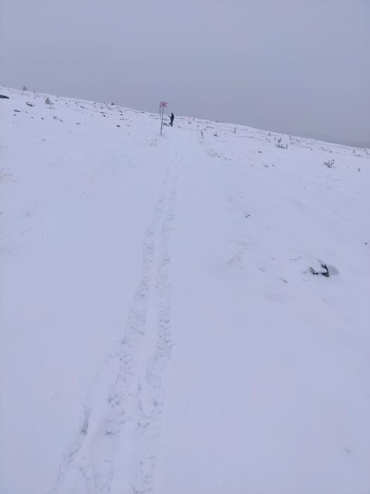 Snötäckt landskap, person i fjärran, vandringsled, spår i snön, disig vinterdag.