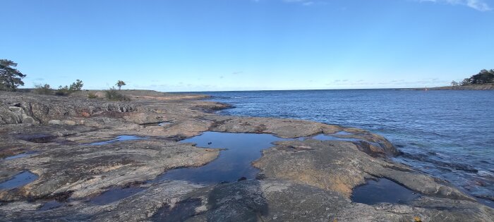 Klippiga stranden, vattenpölar, träd, blå himmel, hav, klart väder, dagtid, naturlig skönhet, fridfullt.